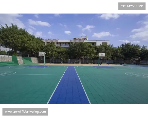 全球多国升级篮球架标准，强制安全认证